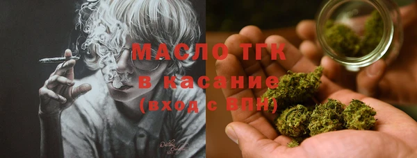 прущая мука Вяземский