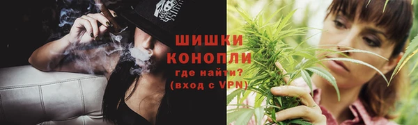 ешки Горняк