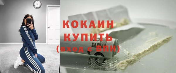 прущая мука Вяземский