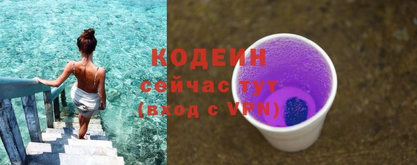 прущая мука Вяземский