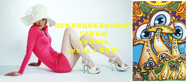 мяу мяу мука Вязьма