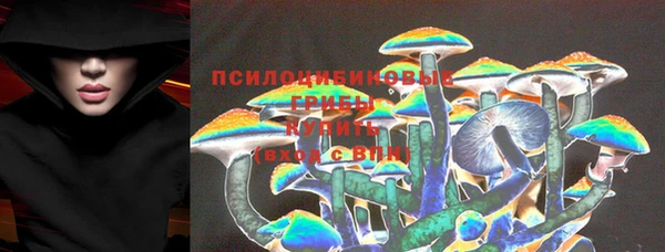 мяу мяу мука Вязьма