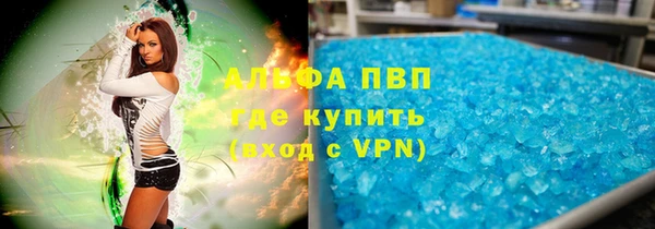 мяу мяу мука Вязьма