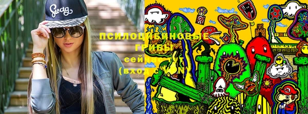 мяу мяу мука Вязьма